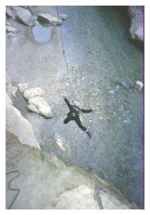 le grand saut...